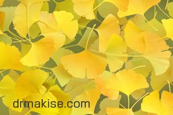 イチョウの葉エキス