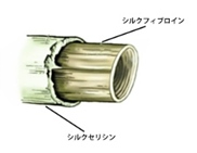 シルクプロテイン01