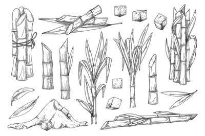 ポリコサノール