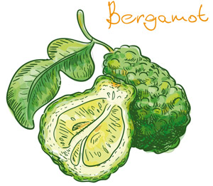 ベルガモット