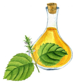 スタチンエゴマオイル